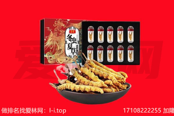 费县回收虫草.jpg
